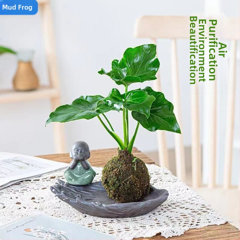 Саксия с мъхова топка и мини ландшафт за орхидеи, подова стойка, пасторалeн стил за домашно градинарство