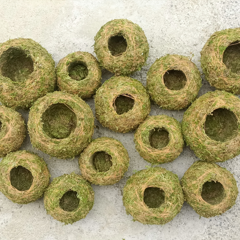 Sammalsambliku pott orhidejade mini-maastikuga, põrandal seisev alus, maaeluline stiil koduaiaai ai