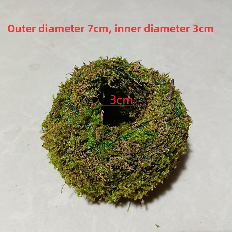 Sammalsambliku pott orhidejade mini-maastikuga, põrandal seisev alus, maaeluline stiil koduaiaai ai