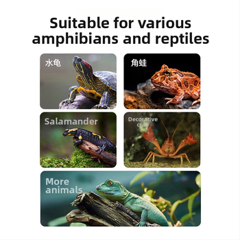 Πλατφόρμα αναρρίχησης χελωνών σε βαθιά νερά με τεχνητό επιπλέον νησί και σκάλα – Υλικό: ρητίνη; Μάρκα: Tim Yue; Βάρος: 500; Εξοπλισμός ενυδρείου