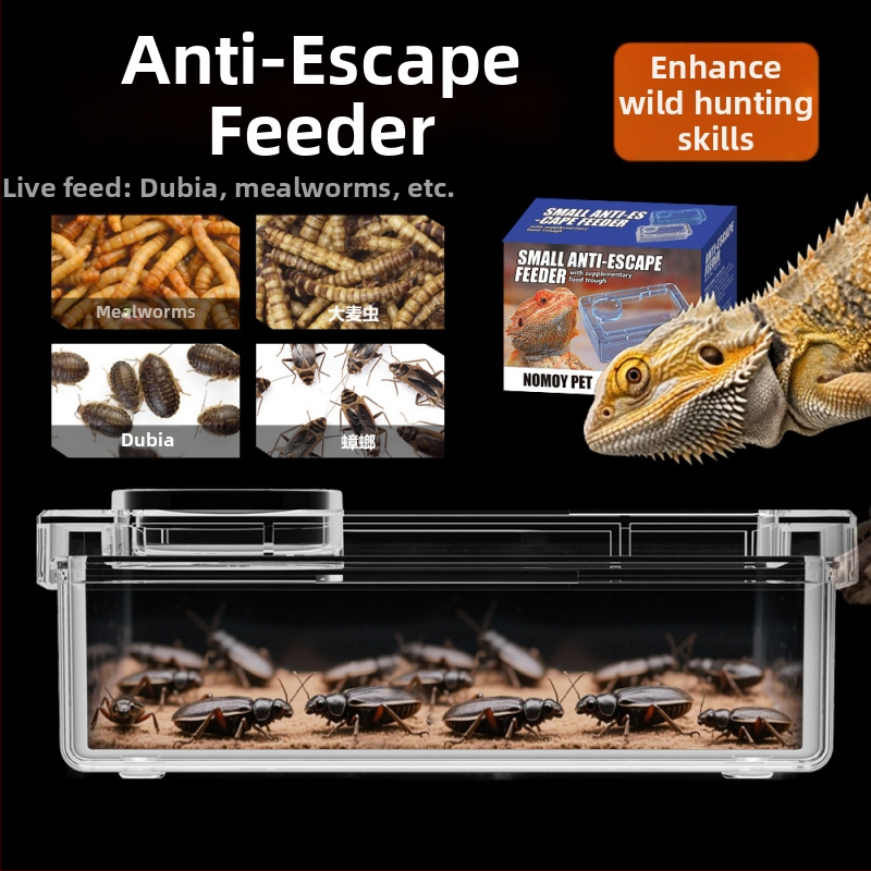 NOMOY PET Хранителна купа за рептили — не е внесена, подходяща за рептили и птици.