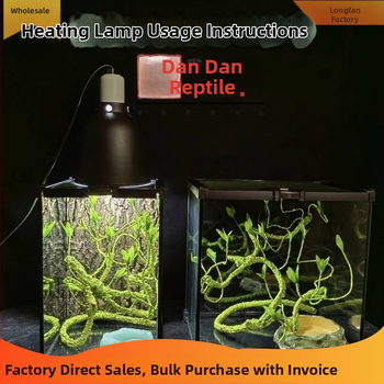 Γυάλινο τεράριουμ με καπάκι για αναρριχητικά ερπετά και γκέκο, τροπικός δάσος οικολογικός βιότοπος, κουτί αναπαραγωγής