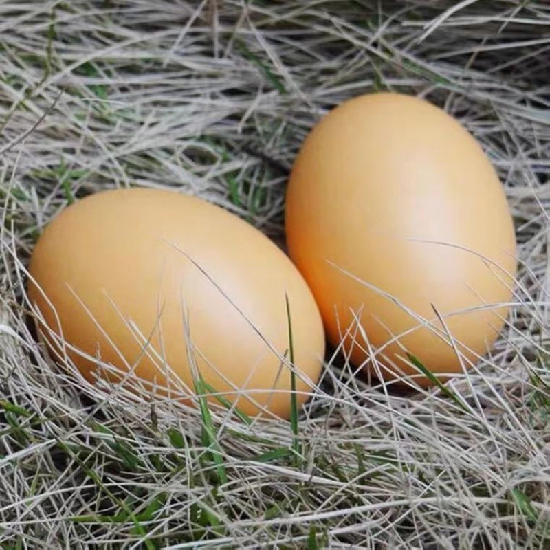Plastmasas olas spēlei un mācībām, krāsotas dekoratīvās olas bērniem, dārziņa mācību palīglīdzekļi (materiāls: plastmasa; vecuma grupa: 15–35 gadi; tips: cits)