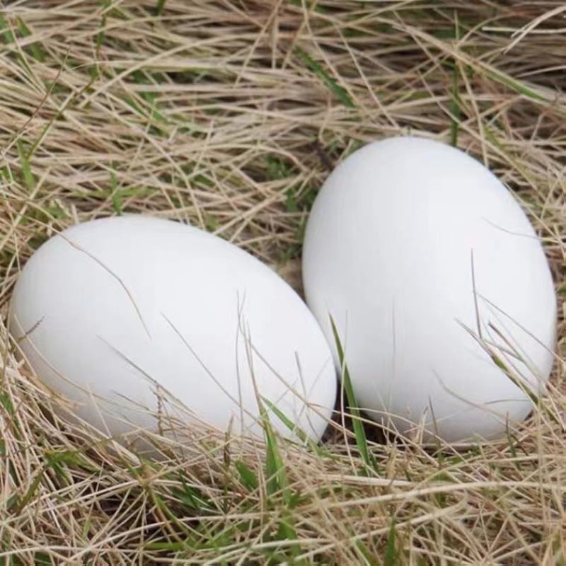 Plastmasas olas spēlei un mācībām, krāsotas dekoratīvās olas bērniem, dārziņa mācību palīglīdzekļi (materiāls: plastmasa; vecuma grupa: 15–35 gadi; tips: cits)