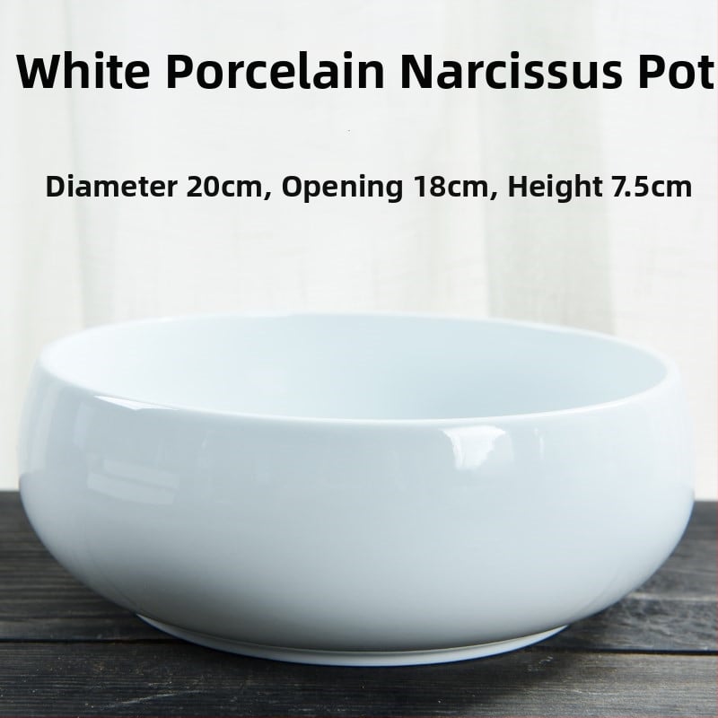 Keraminė gėlių vaza ant grindų – paprastas stilius, namų sodo naudojimui