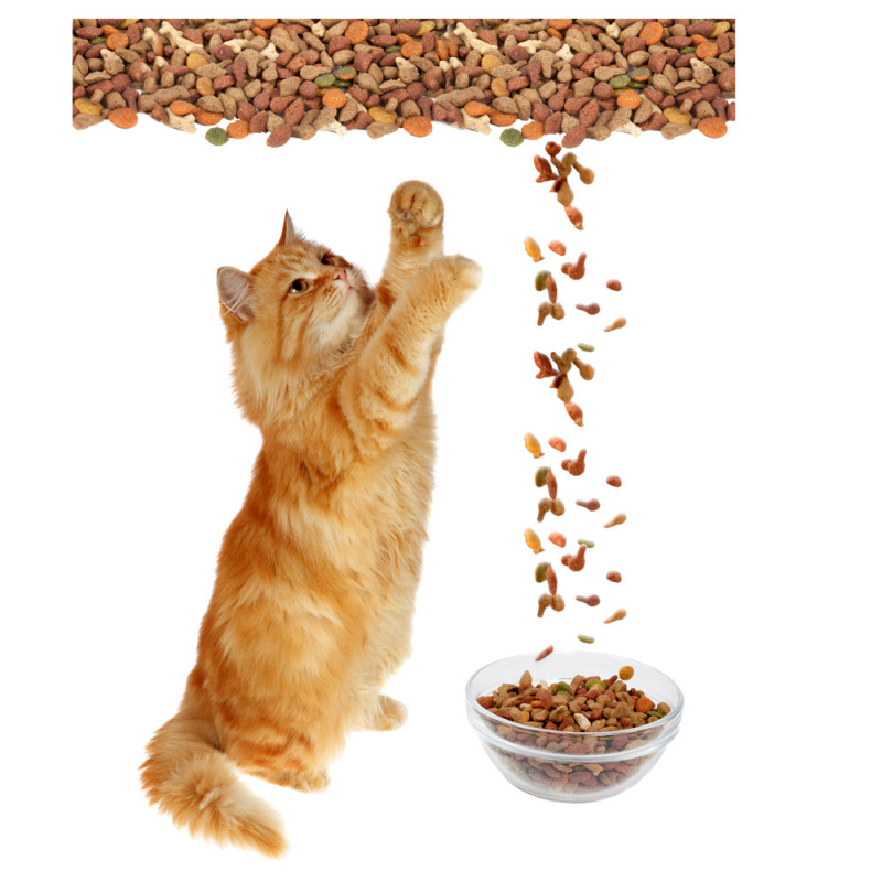 Macska falikép matrica - PVC, vízálló, öntapadós és eltávolítható - Tűzálló, antistatikus, molyok elleni, szennyeződés elleni - Nappali, hálószoba, dolgozószoba, előszoba - Modell K-S5