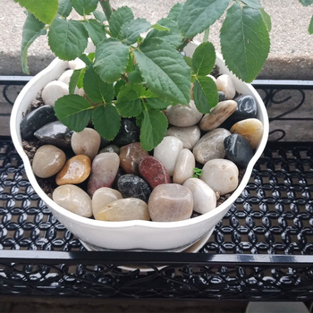 Rain Flower akmenėliai dārzo grindims ir akvariumo kraštovaizdžiui; įskaitant natūralius mažus akmenėlius; Medžiaga: akmenėliai; Tipas: Kitas; Tinka sodo dekoracijoms ir akvariumo kraštovaizdžiams