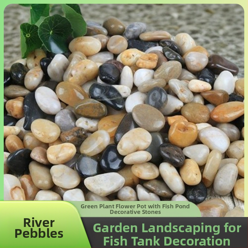 Rain Flower akmenėliai dārzo grindims ir akvariumo kraštovaizdžiui; įskaitant natūralius mažus akmenėlius; Medžiaga: akmenėliai; Tipas: Kitas; Tinka sodo dekoracijoms ir akvariumo kraštovaizdžiams