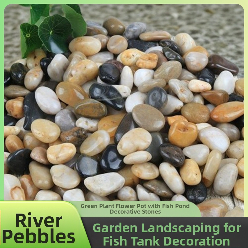 Rain Flower akmenėliai dārzo grindims ir akvariumo kraštovaizdžiui; įskaitant natūralius mažus akmenėlius; Medžiaga: akmenėliai; Tipas: Kitas; Tinka sodo dekoracijoms ir akvariumo kraštovaizdžiams