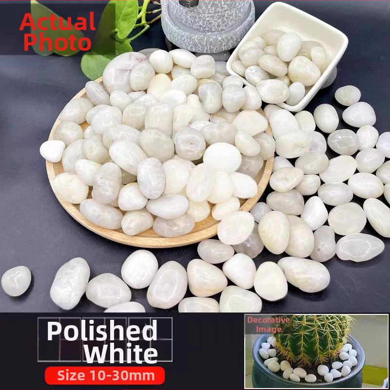 Rain Flower akmenėliai dārzo grindims ir akvariumo kraštovaizdžiui; įskaitant natūralius mažus akmenėlius; Medžiaga: akmenėliai; Tipas: Kitas; Tinka sodo dekoracijoms ir akvariumo kraštovaizdžiams