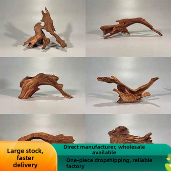 Rāpju dzīvnieku terārijs ar sauļošanās platformu, driftwood un dekoratīvajām zariem