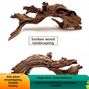 Rāpju dzīvnieku terārijs ar sauļošanās platformu, driftwood un dekoratīvajām zariem