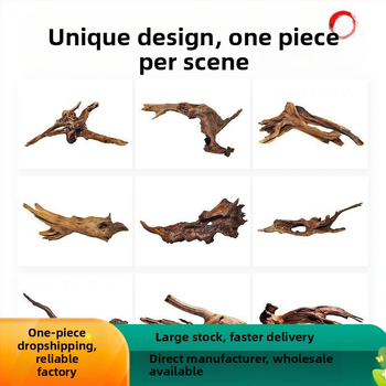 Rāpju dzīvnieku terārijs ar sauļošanās platformu, driftwood un dekoratīvajām zariem