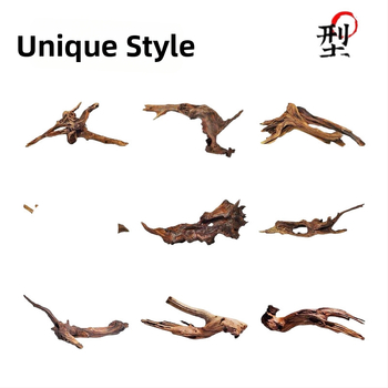 Rāpju dzīvnieku terārijs ar sauļošanās platformu, driftwood un dekoratīvajām zariem