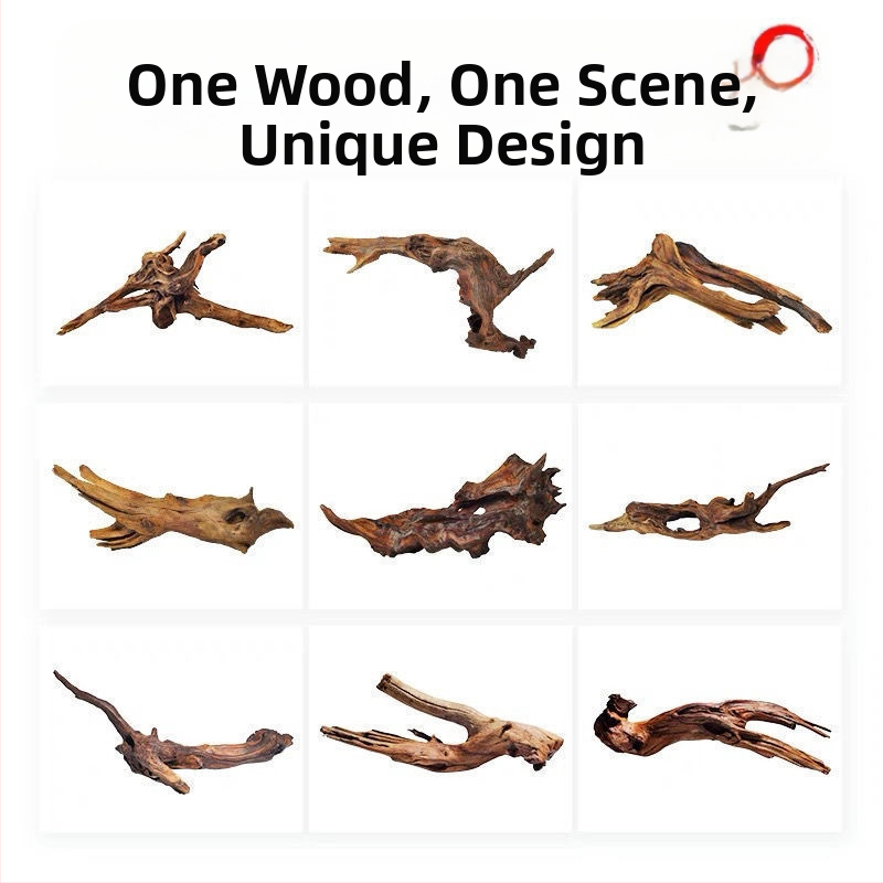 Rāpju dzīvnieku terārijs ar sauļošanās platformu, driftwood un dekoratīvajām zariem