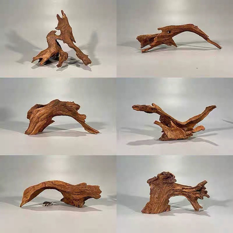 Rāpju dzīvnieku terārijs ar sauļošanās platformu, driftwood un dekoratīvajām zariem