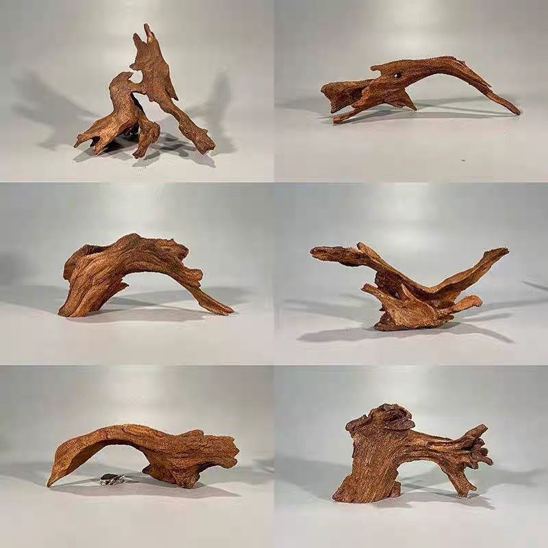 Rāpju dzīvnieku terārijs ar sauļošanās platformu, driftwood un dekoratīvajām zariem