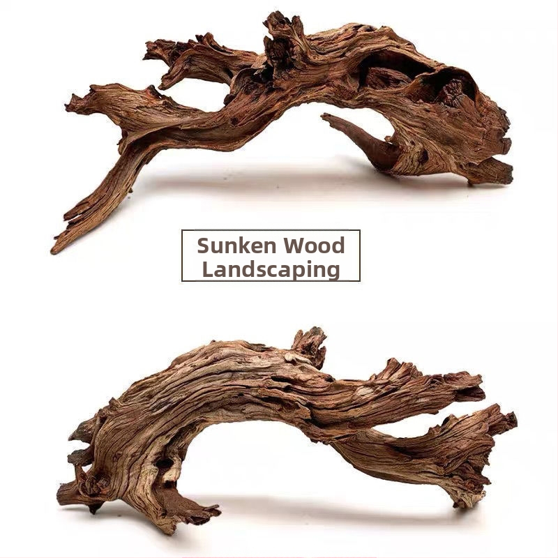 Rāpju dzīvnieku terārijs ar sauļošanās platformu, driftwood un dekoratīvajām zariem