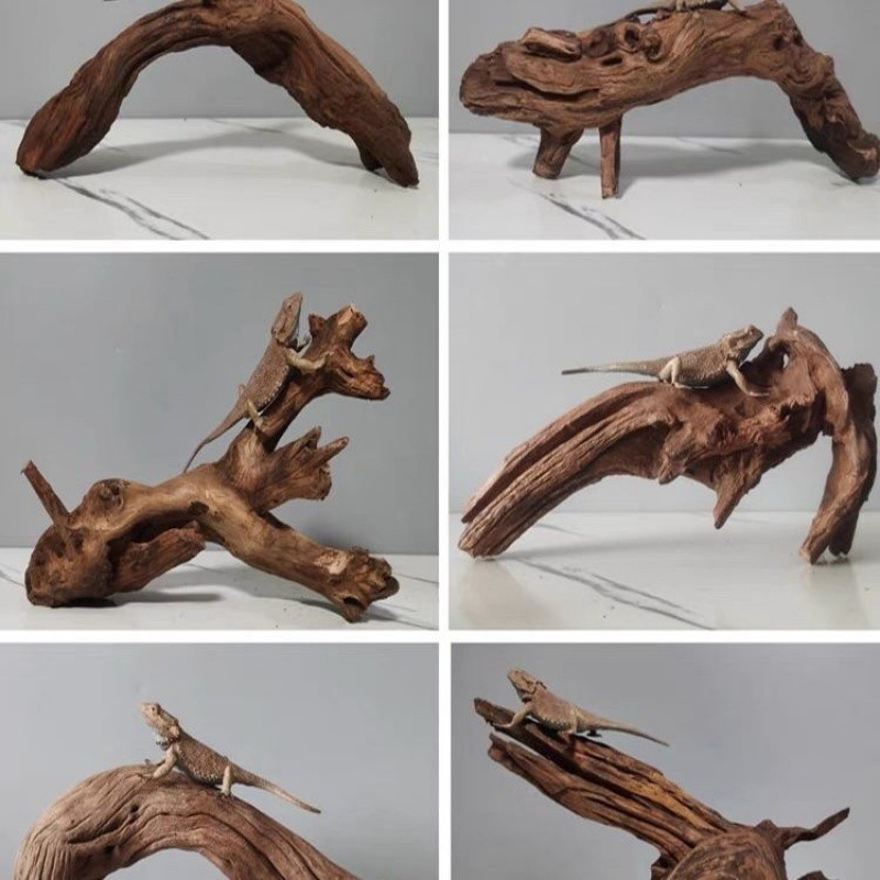 Rāpju dzīvnieku terārijs ar sauļošanās platformu, driftwood un dekoratīvajām zariem