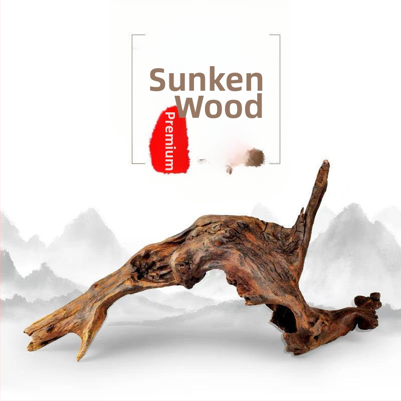 Rāpju dzīvnieku terārijs ar sauļošanās platformu, driftwood un dekoratīvajām zariem