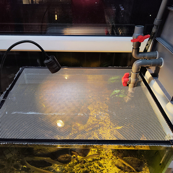 Antiizbēgšanas tīkla vāks akvārijiem un terārijiem | PVC tīkla vāciņš zivīm un bruņurupjiem (Materiāls: PVC; Lietošana: akvārijs/terārijs; Funkcija: pret izbēgšanu)