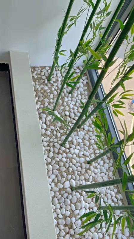 Trys dalių baltų natūralių žvyro akmenėlių rinkinys hidropionikai tulpėms ir akvariumo apdailai (Tipas: Trys dalys; Medžiaga: Kita; Importas: Ne; Panaudojimas: Kita)