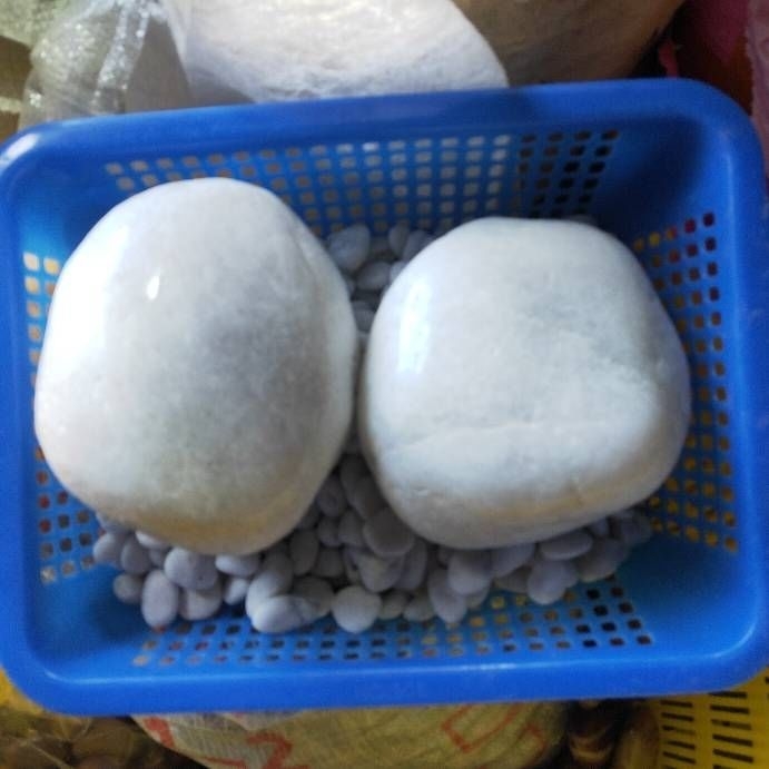 Trys dalių baltų natūralių žvyro akmenėlių rinkinys hidropionikai tulpėms ir akvariumo apdailai (Tipas: Trys dalys; Medžiaga: Kita; Importas: Ne; Panaudojimas: Kita)