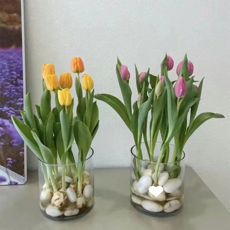 Trys dalių baltų natūralių žvyro akmenėlių rinkinys hidropionikai tulpėms ir akvariumo apdailai (Tipas: Trys dalys; Medžiaga: Kita; Importas: Ne; Panaudojimas: Kita)