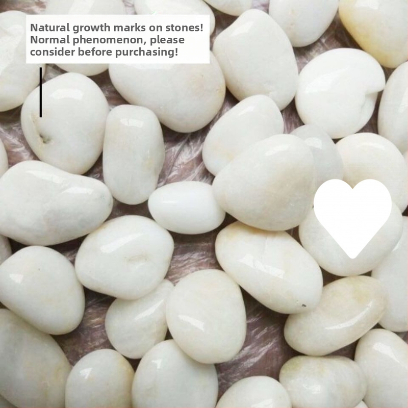 Trys dalių baltų natūralių žvyro akmenėlių rinkinys hidropionikai tulpėms ir akvariumo apdailai (Tipas: Trys dalys; Medžiaga: Kita; Importas: Ne; Panaudojimas: Kita)