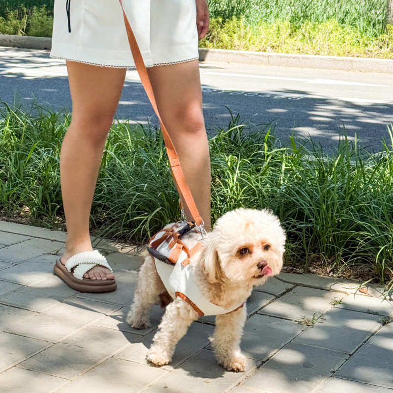 Раница-носилка за домашни любимци, дишаща, нейлон, разширяема, за ръчно носене или през рамо, подходяща за кучета и котки