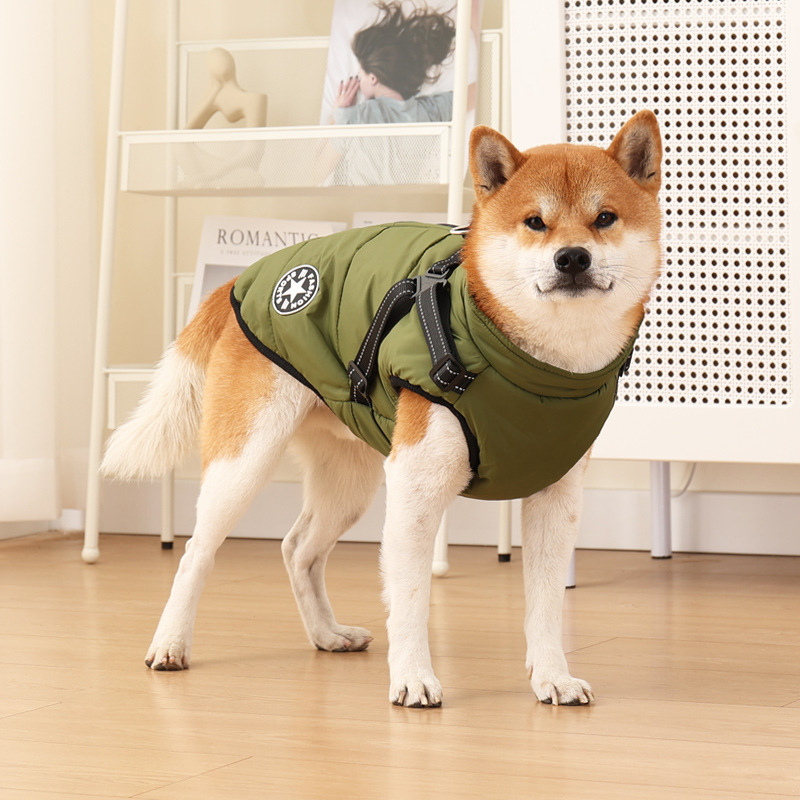 Leather Dog pamut-párnázott szabadidős ruházat kisállatoknak, Zhejiang eredetű, licencelhető magáncímke