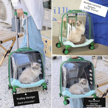 Комплект кейсов за домашни любимци — преносим кейс за котки и кучета, ПП материал, твърд корпус, едноцветен