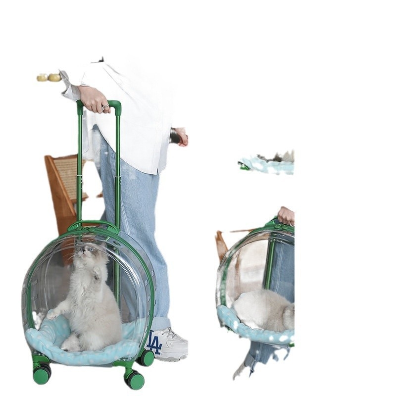 Augintinių kelioniniai krepšiai komplektas — kačių ir šunų nešiojimo dėžė, PP medžiaga, tvirtas korpusas, vienalytė spalva