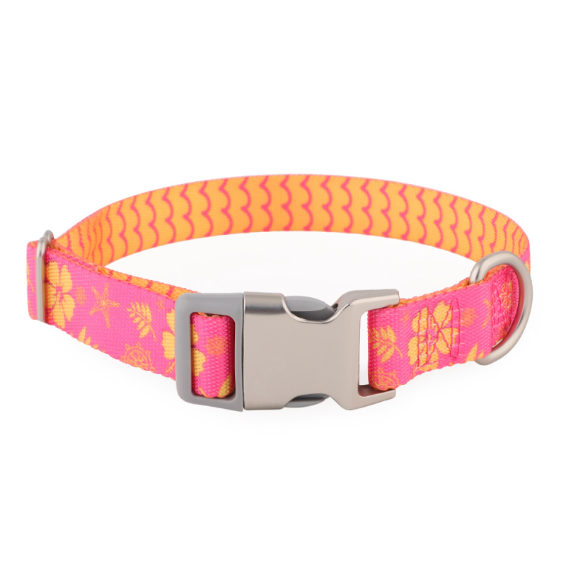 Nylon nyakörv kutyáknak hőtranszfer nyomtatással – nem állítható