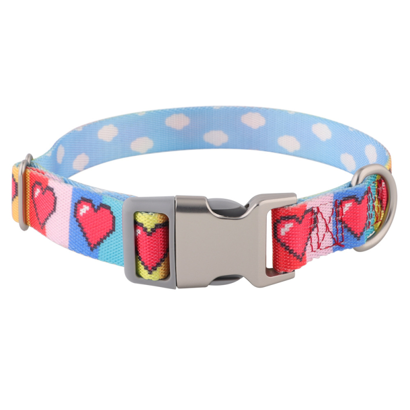Nylon nyakörv kutyáknak hőtranszfer nyomtatással – nem állítható