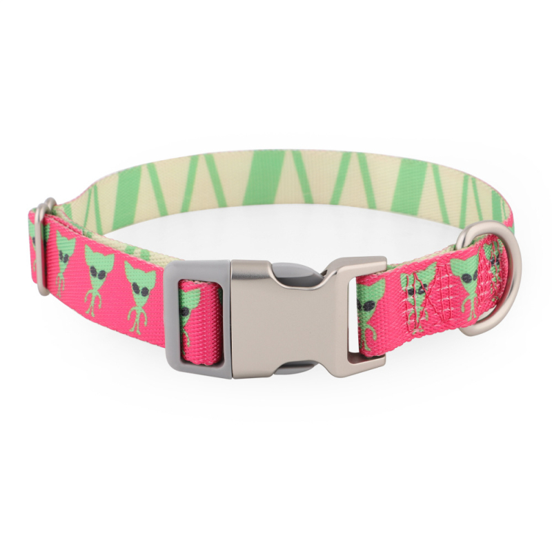 Nylon nyakörv kutyáknak hőtranszfer nyomtatással – nem állítható