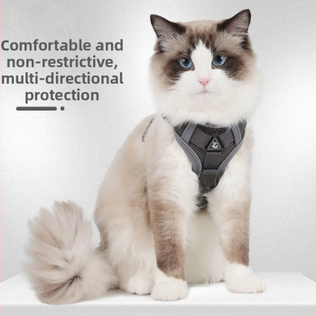 Katės krūtinės diržas – liemenės stiliaus dizainas, pasivaikščiojimams