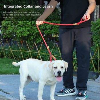 Λαβή έλξης σκύλου με ενσωματωμένο σχοινί – Κανναβο σχοινί, ρυθμιζόμενη, κατάλληλη για μικρούς έως μεγάλους σκύλους, με χειροποίητο δερμάτινο λουρί και περιοριστική αγκράφα