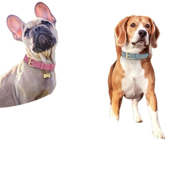 Κολάρο σκύλου Tang zhen – Mohair, για σκύλους, προέλευση Κίνα