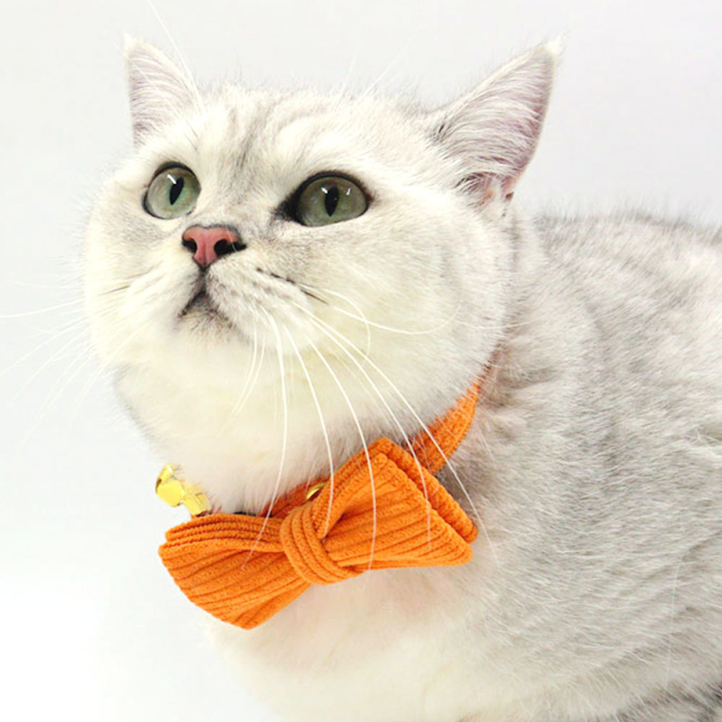 Katės kaklo apykaklė iš corduroy audinio, lazeriu graviruotas vardas, prekinis ženklas Thousand Years Old