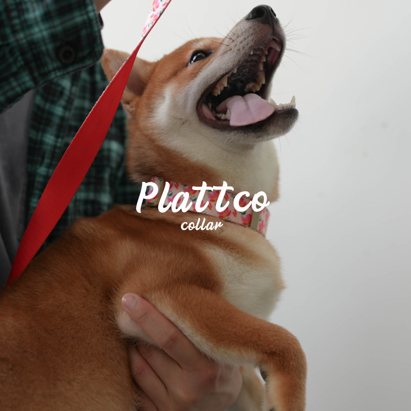 Set zgardă și lesă pentru câini cu model floral | din nylon imitation | pentru câini | stil relaxat | 0,19 kg