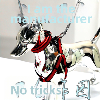 Кучешка каишка от желязна верига, устойчива на ухапвания, регулирана с автоматична катарама