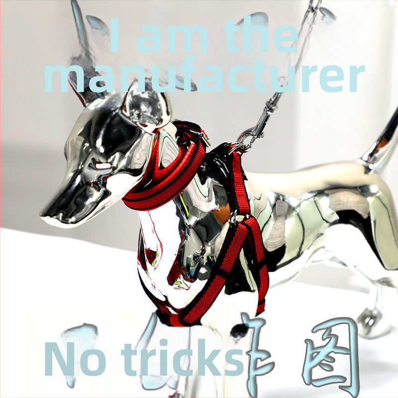 Кучешка каишка от желязна верига, устойчива на ухапвания, регулирана с автоматична катарама