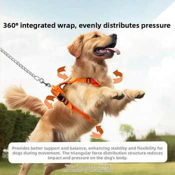 Θωρακική ζώνη για μεγάλους σκύλους – Ρυθμιζόμενη, Oxford ύφασμα, μάρκα Wang Xingren, Προέλευση Jiangsu