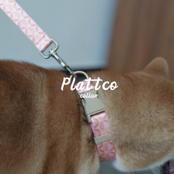 PLATTCO Sunrise Flower σετ κολάρο και λουριά για σκύλους – φλοράλ μοτίβο, συνθετικό νάιλον, 0.19 kg