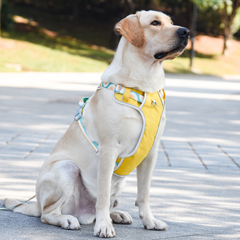 Λουρί σκύλου και θωρακικός ιμάντας – Πολυεστέρας, ρυθμιζόμενο, μάρκα YDX, για υπαίθριους περιπάτους