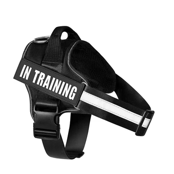 Νάιλον θωρακικό λουρί σκύλου, επεκτείσιμος σχεδιασμός, συσκευασία 100, κατηγορία: θωρακικός ιμάντας