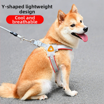 Šuns liemenė su krūtine diržu – ėjimui su pavadėliu