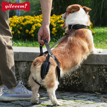 Ιμάντας αποκατάστασης για το πίσω πόδι σκύλου — ιμάντας έλξης με δίχτυ και μεταλλική αγκράφα (για ηλικιωμένα ή τραυματισμένα κατοικίδια)