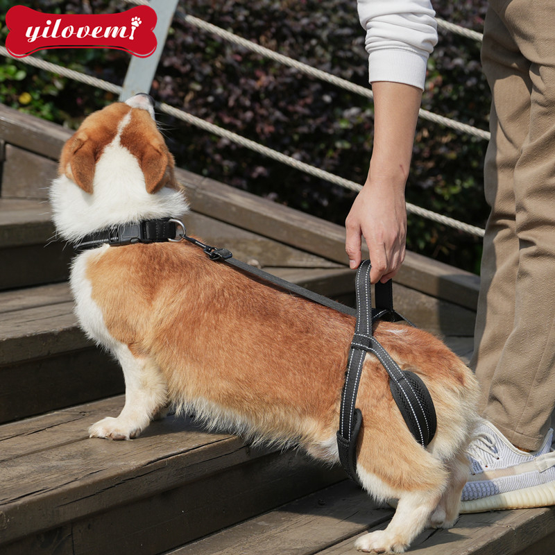 Кучешка каишка за рехабилитация на задния крак — тракционна лента с мрежеста материя и алуминиева катарама (за възрастни или ранени кучета)